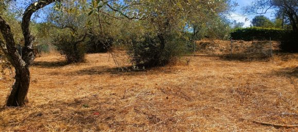 3-salle Maison à Sassari, Italy No. 278511 13