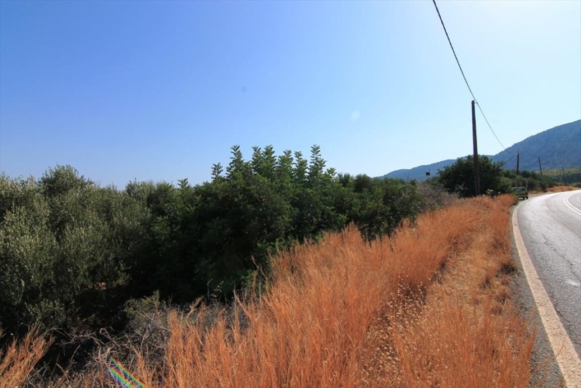 2000m² Hotel for sale in Agios Nikolaos, Lasithi, Crete, Greece № 3566