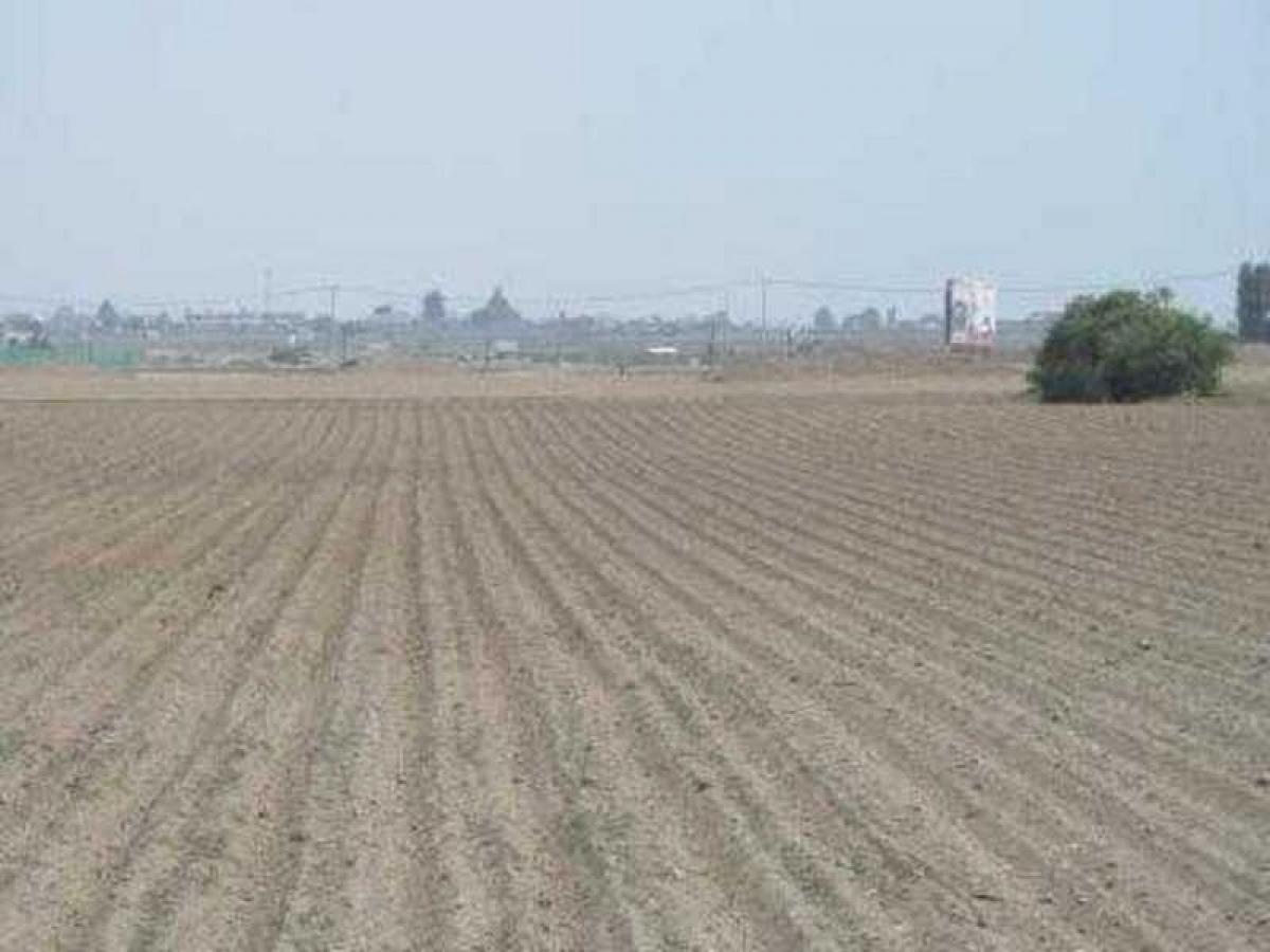  Land in Mexico No. 207069