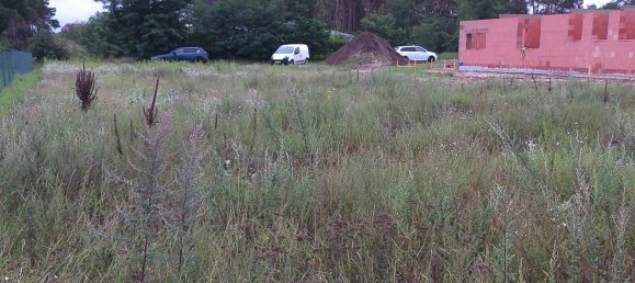  Land in Havelland, Germany No. 221152 4