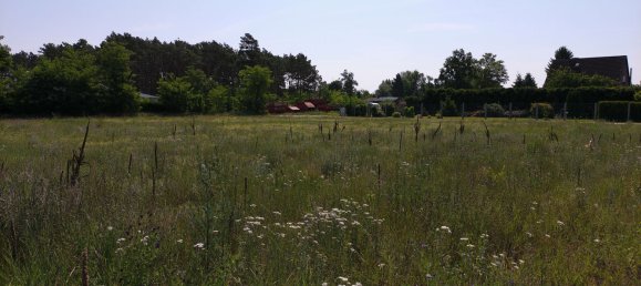  Land in Havelland, Germany No. 221152 3