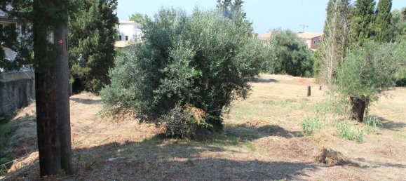 Hôtel à Corfu, Greece 2500m² No. 7663 5