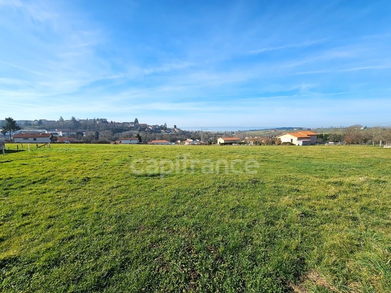  Land in Panissieres, France No. 203839