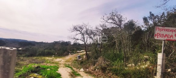  قطعة أرض في Ansiao, Portugal 6530متر مربع رقم 86071 19