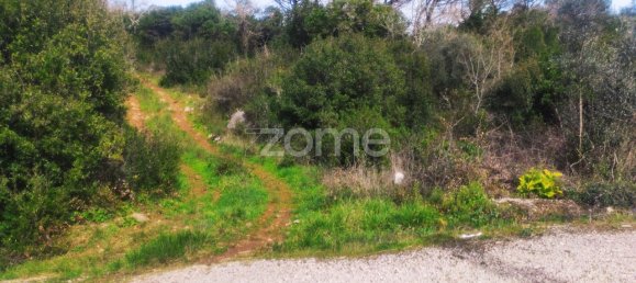  قطعة أرض في Ansiao, Portugal 6530متر مربع رقم 86071 2