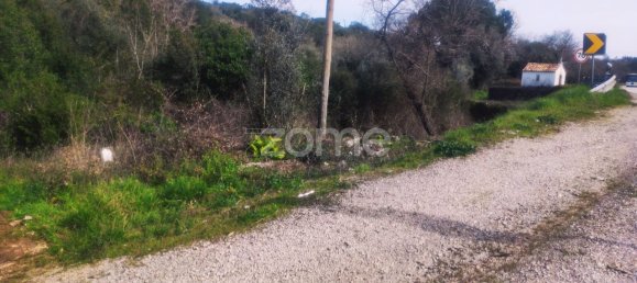  قطعة أرض في Ansiao, Portugal 6530متر مربع رقم 86071 3