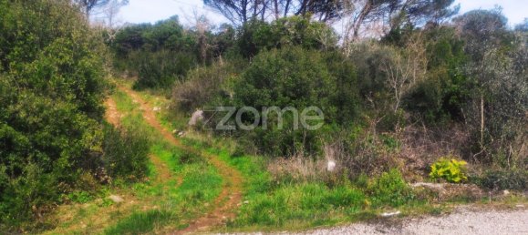  قطعة أرض في Ansiao, Portugal 6530متر مربع رقم 86071 15