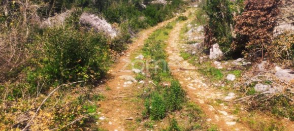  قطعة أرض في Ansiao, Portugal 6530متر مربع رقم 86071 16