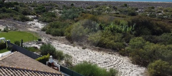 5 bedrooms House in Grandola, Portugal No. 174807 9