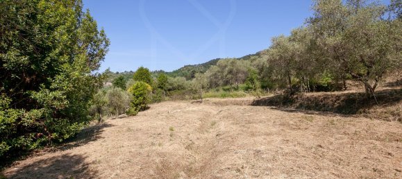 7 rooms House in Lucca, Italy No. 41510 9