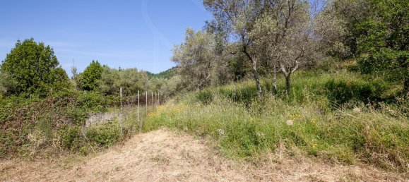 7 rooms House in Lucca, Italy No. 41510 8