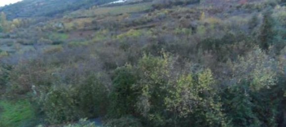 19 chambres Maison à Leon, Spain No. 80346 8