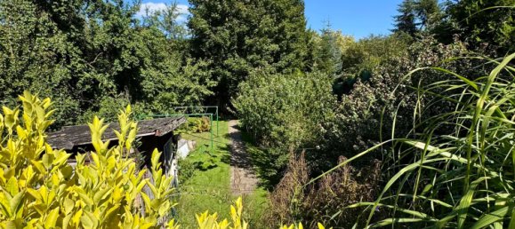 Bungalow de 3 dormitorios en Oberhavel, Germany No. 313080 38