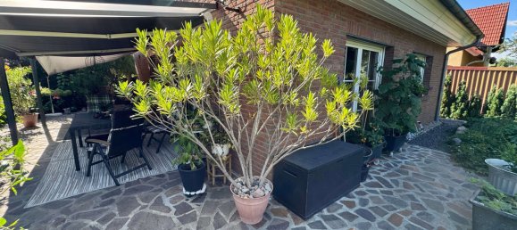 Bungalow de 3 dormitorios en Oberhavel, Germany No. 313080 2