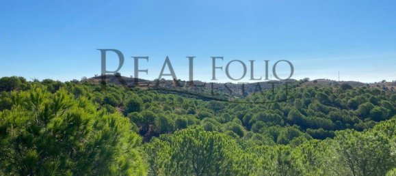 9 Schlafzimmer Grundstück in Vila Nova de Cacela, Portugal, Nr. 121794 22