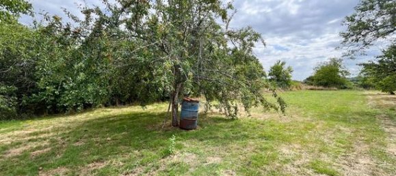3 bedrooms House in Vicq-sur-Nahon, France No. 305320 13