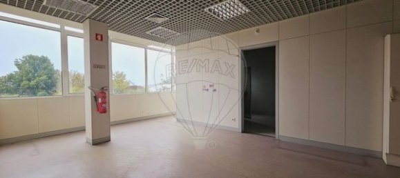 Imóvel comercial em Carregal do Sal, Portugal 195 m² N.º 74264 9