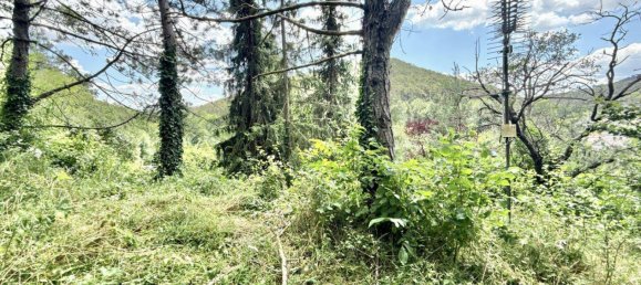 7 rooms House in Berndorf, Austria No. 151145 21