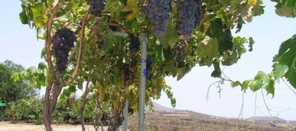 4 bedrooms House in San Miguel de Abona, Spain No. 129976 16