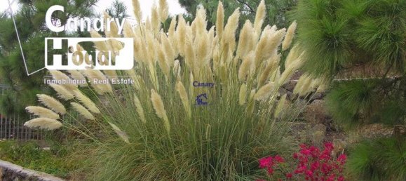 4 bedrooms House in San Miguel de Abona, Spain No. 129976 35