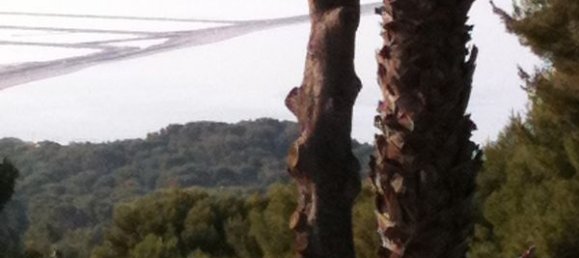 2 Schlafzimmer Wohnung in Hyeres, France, Nr. 276323 2