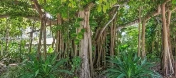 3 bedrooms Commercial property for rent in Miami, Miami-Dade, Florida, USA № 615147 20