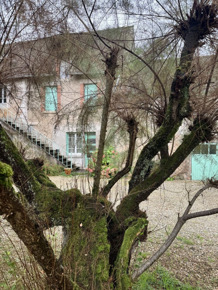 7 chambres Maison de ville à Châtillon-sur-Loire, France No. 221451