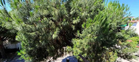 2 bedrooms Apartment in Florence, Italy No. 332522 21