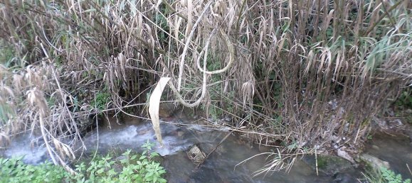 3 bedrooms House in Sintra, Portugal No. 56509 19