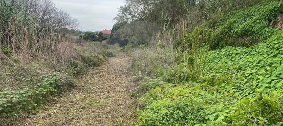 3 bedrooms House in Sintra, Portugal No. 56509 13