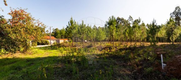 2 غرف نوم منزل في Ourem, Portugal رقم 27786 15