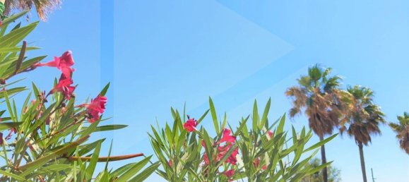 Casa de 11 habitaciónes en Montesilvano, Italy No. 22367 23