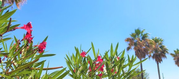 Casa de 11 habitaciónes en Montesilvano, Italy No. 22367 28