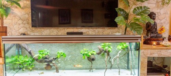 4 chambres Appartement à Pucol, Spain No. 190900 29