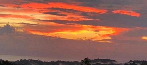 3 bedrooms House in Puerto Jimenez, Costa Rica No. 980 2