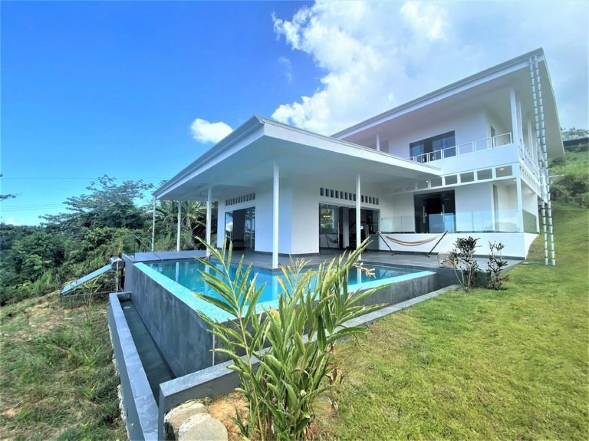 3 bedrooms House in Puerto Jimenez, Costa Rica No. 980