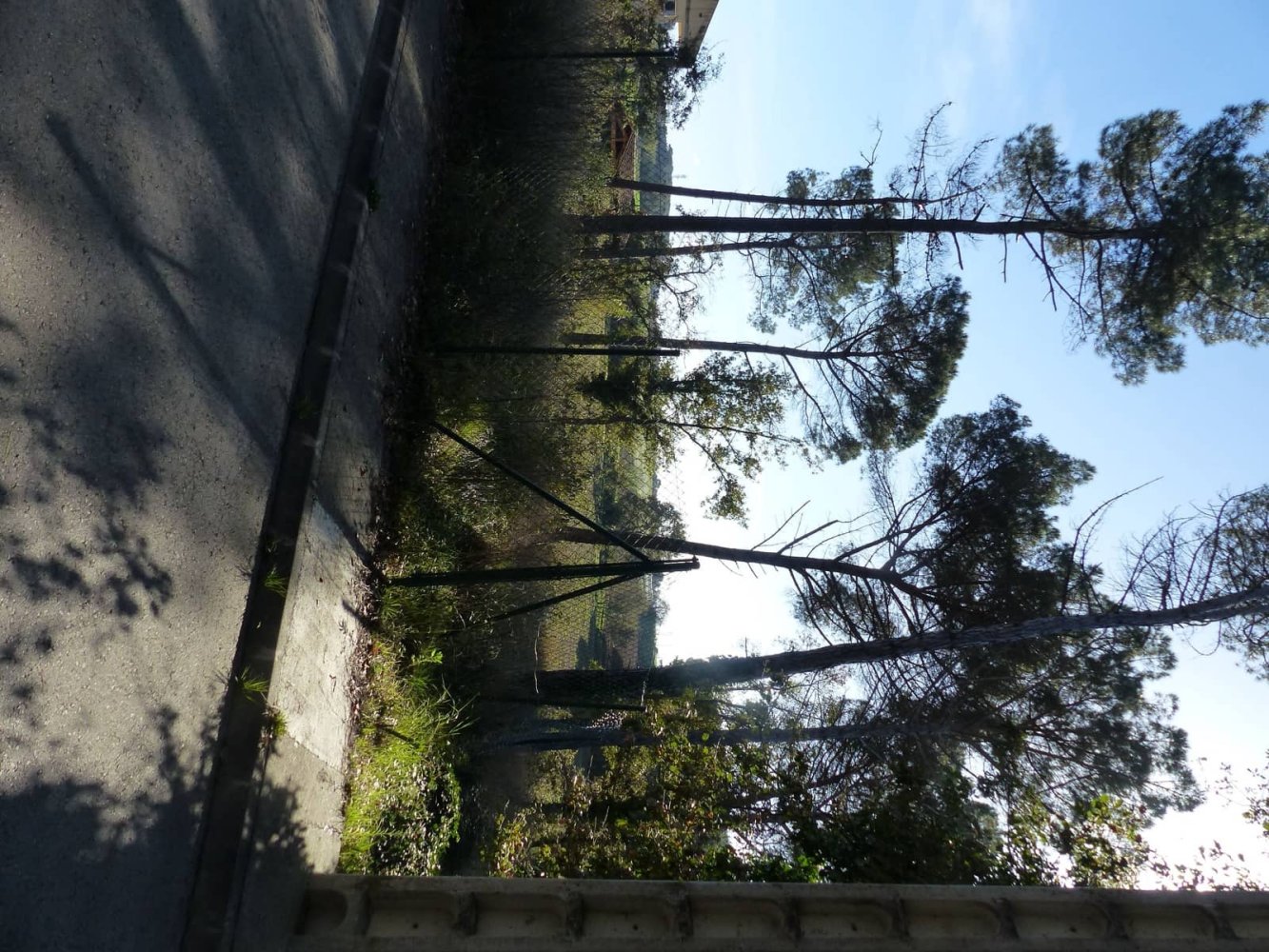  Land in Caldes de Malavella, Spain No. 205783