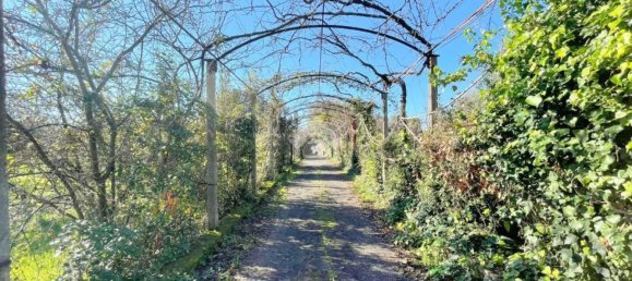 6-salle Maison à Velletri, Italy No. 209383 3