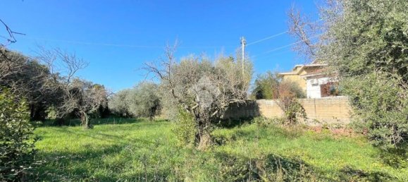 6-salle Maison à Velletri, Italy No. 209383 10