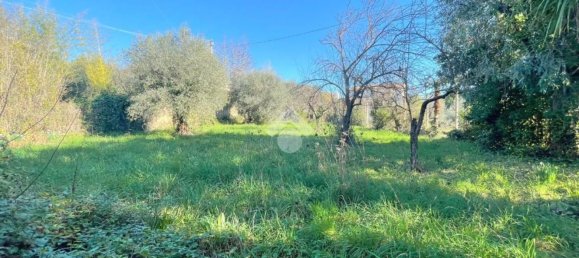 6-salle Maison à Velletri, Italy No. 209383 7