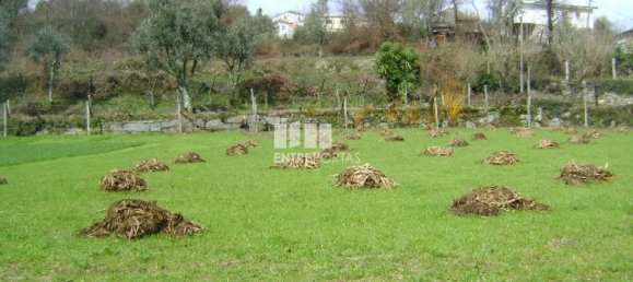 4690m² Land in Baiao, Portugal No. 46405 5