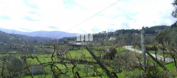 4690m² Land in Baiao, Portugal No. 46405 7