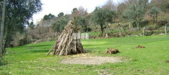 4690m² Land in Baiao, Portugal No. 46405 6