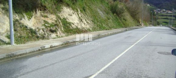 4690m² Land in Baiao, Portugal No. 46405 2