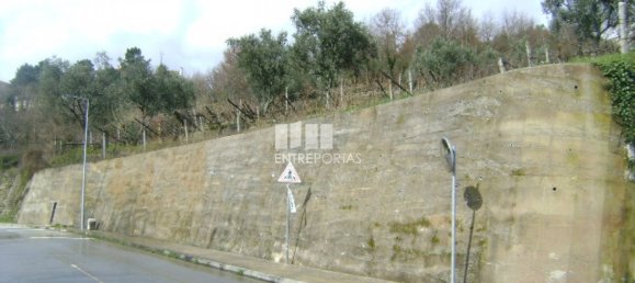 4690m² Land in Baiao, Portugal No. 46405 4