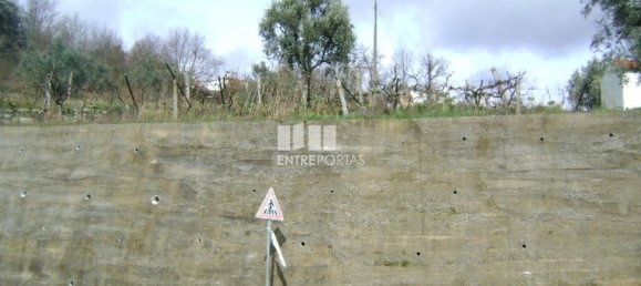 4690m² Land in Baiao, Portugal No. 46405 3