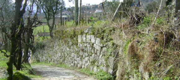 4690m² Land in Baiao, Portugal No. 46405 9