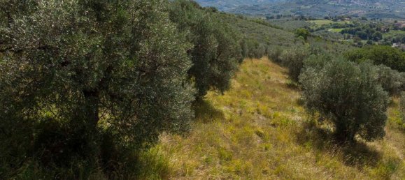 Terreno em Poggio Nativo, Italy N.º 362815 7