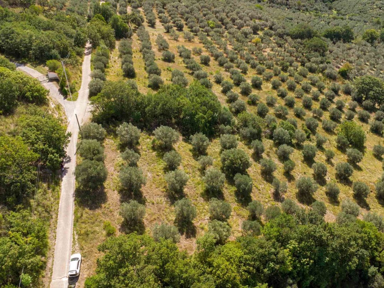Terreno em Poggio Nativo, Italy N.º 362815