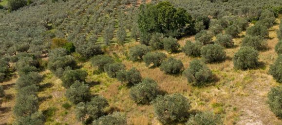 Terreno em Poggio Nativo, Italy N.º 362815 5